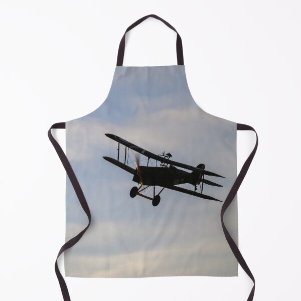 Item preview, 1917 SE5a replica sunset flight designed and sold by Greg Birkett.
