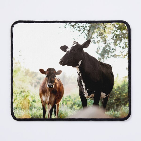 Item preview, Winter Morning Cows designed and sold by anafrancisconi.