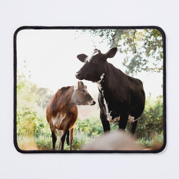 Item preview, Winter Morning Cows designed and sold by anafrancisconi.