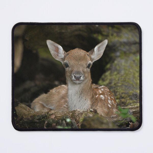 Item preview, Fawn in The Forest designed and sold by ClaireChown.