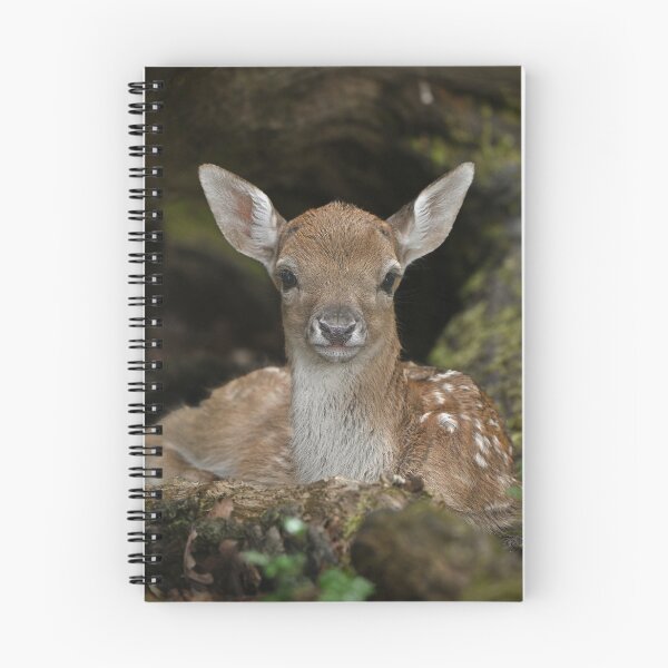 Item preview, Fawn in The Forest designed and sold by ClaireChown.