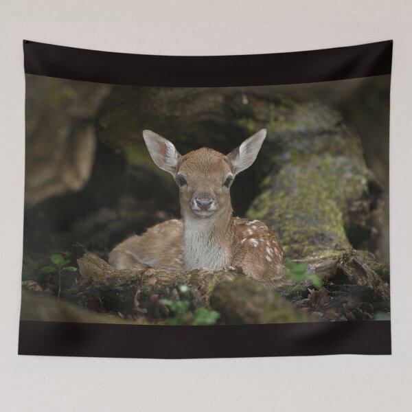 Item preview, Fawn in The Forest designed and sold by ClaireChown.