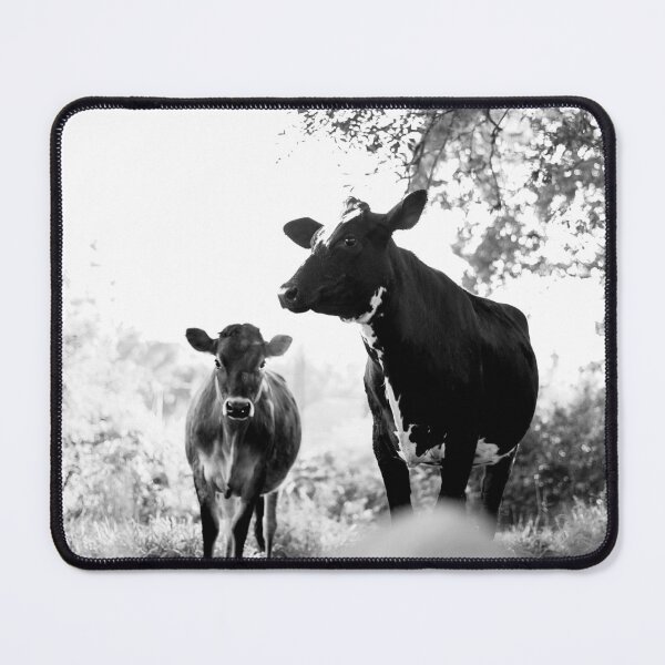 Item preview, Winter Morning Cows designed and sold by anafrancisconi.