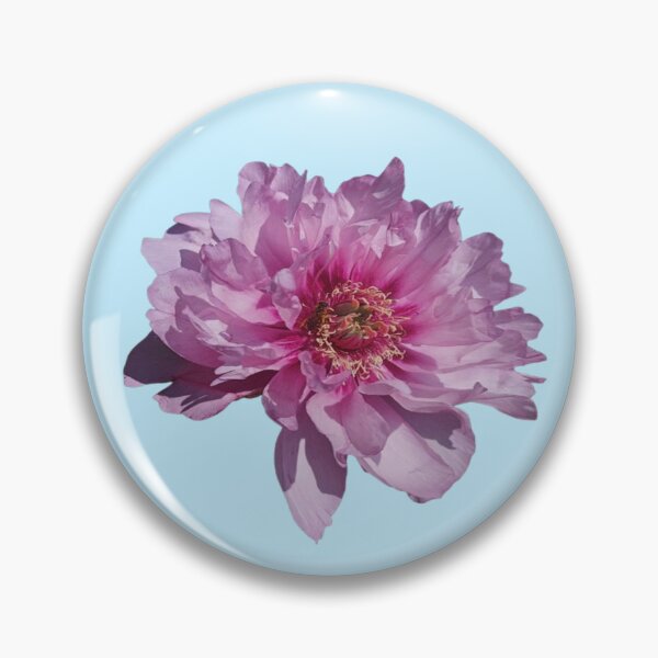 Item preview, Cutout Of 1 Pink Garden Peony With A Bee designed and sold by CDPrintsDesigns.