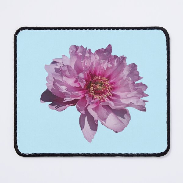 Item preview, Cutout Of 1 Pink Garden Peony With A Bee designed and sold by CamilasPrints.