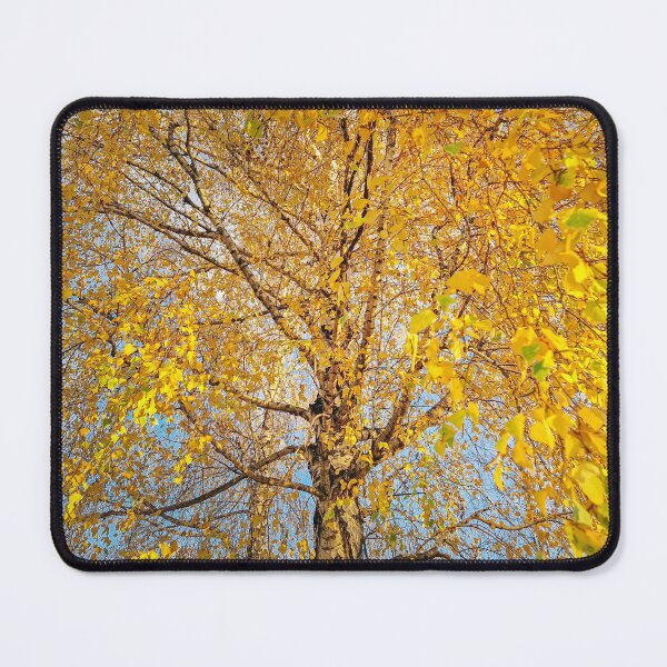 Item preview, autumnal birch tree designed and sold by psychoshadow.