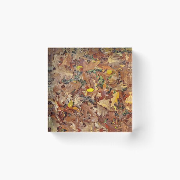 Item preview, fallen oak leaves designed and sold by psychoshadow.