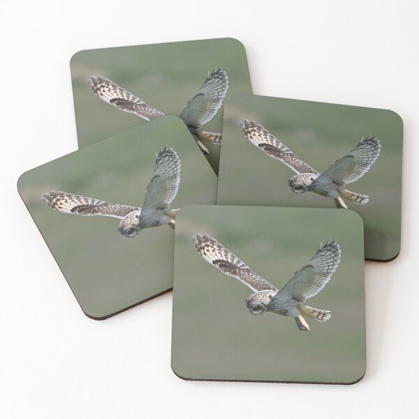 Item preview, Short Eared Owl Hunting designed and sold by ClaireChown.