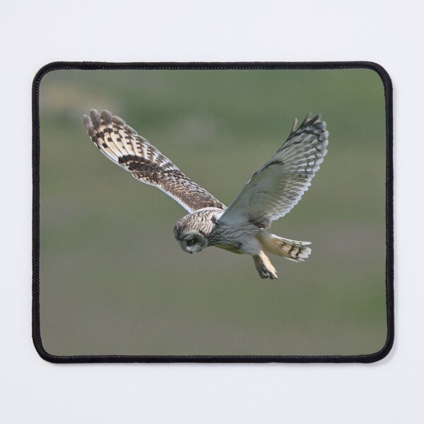 Item preview, Short Eared Owl Hunting designed and sold by ClaireChown.