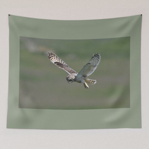Item preview, Short Eared Owl Hunting designed and sold by ClaireChown.