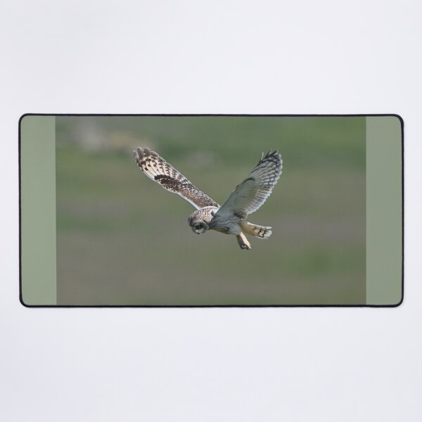 Item preview, Short Eared Owl Hunting designed and sold by ClaireChown.