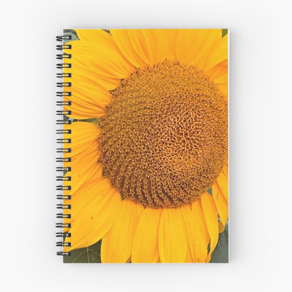 Artikelvorschau, Riesensonnenblume – Naturfotografie aus nächster Nähe entworfen und verkauft von RnIDesignd.