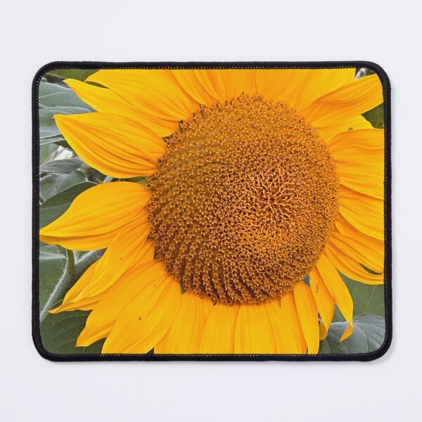 Item preview, Giant Sunflower-Close Up Nature Photography designed and sold by RnIDesignd.
