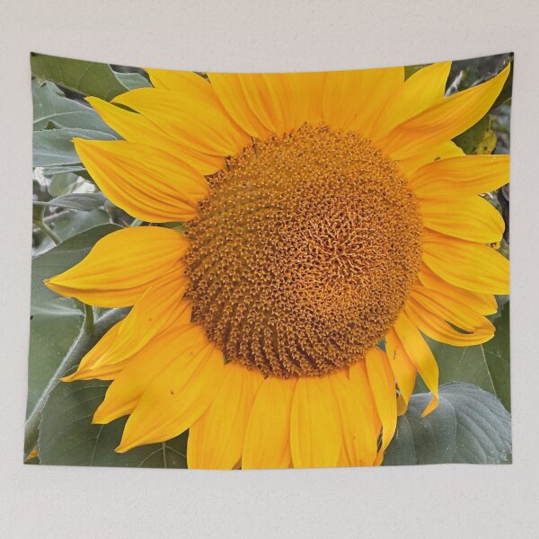 Item preview, Giant Sunflower-Close Up Nature Photography designed and sold by RnIDesignd.