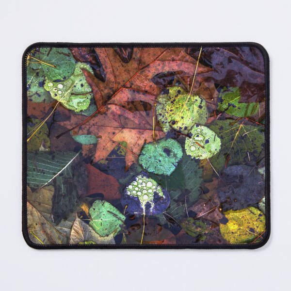 Item preview, Oak and Aspen Following Rain designed and sold by Wayne King.