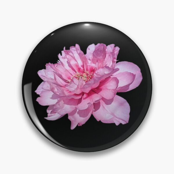 Item preview, Cutout Of 1 Pink Garden Peony designed and sold by CDPrintsDesigns.