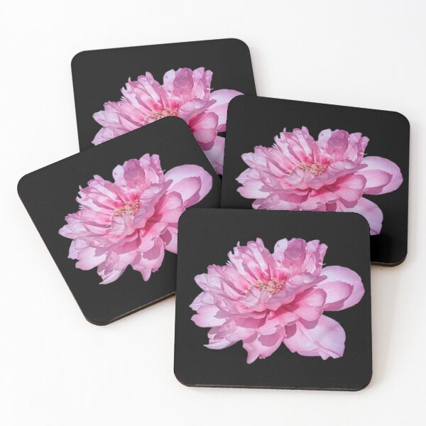Item preview, Cutout Of 1 Pink Garden Peony designed and sold by CamilasPrints.