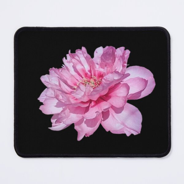 Item preview, Cutout Of 1 Pink Garden Peony designed and sold by CDPrintsDesigns.