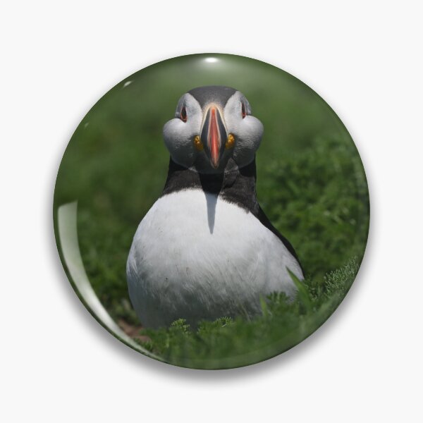 Item preview, Happy Puffin designed and sold by ClaireChown.