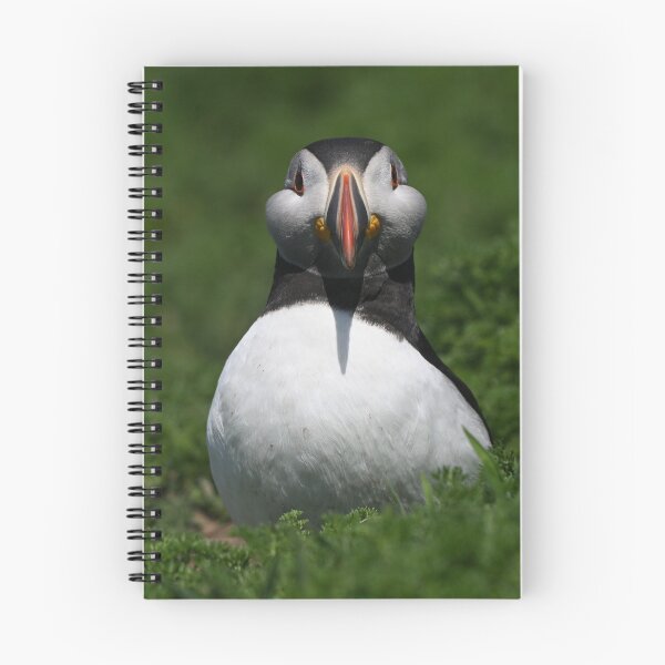 Item preview, Happy Puffin designed and sold by ClaireChown.