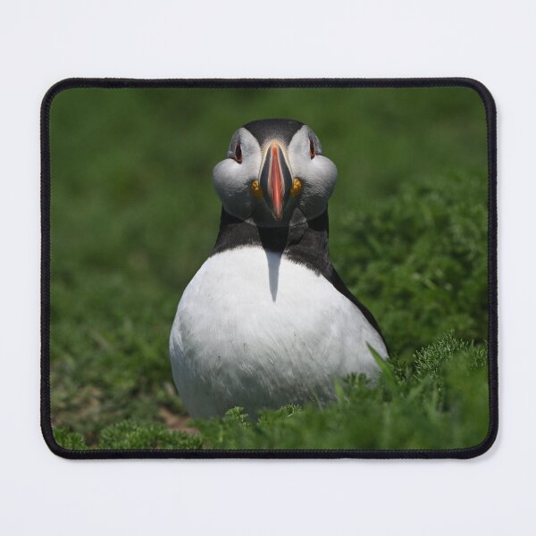 Item preview, Happy Puffin designed and sold by ClaireChown.