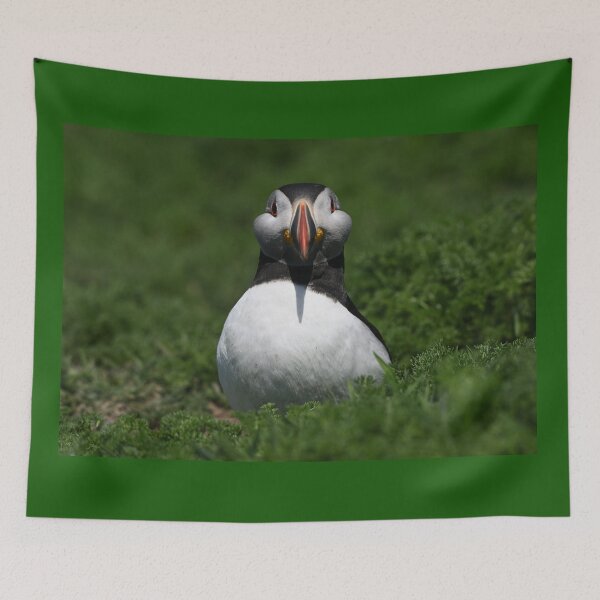Item preview, Happy Puffin designed and sold by ClaireChown.