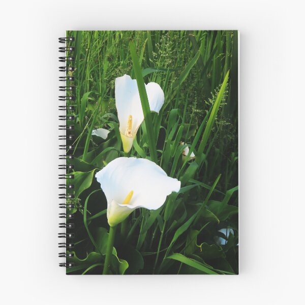 Item preview, Arum lilies designed and sold by ART22.