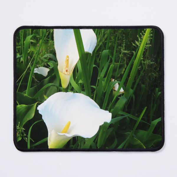 Item preview, Arum lilies designed and sold by ART22.