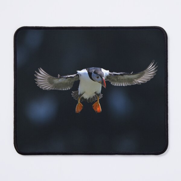 Item preview, Puffin Incoming designed and sold by ClaireChown.