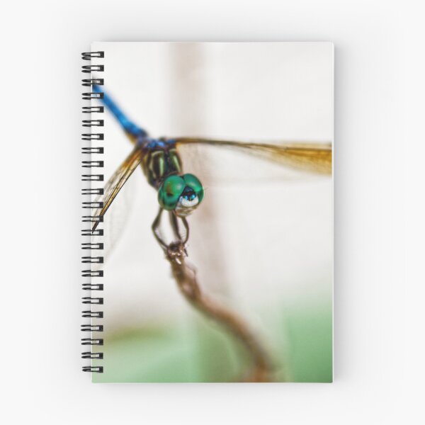 Item preview, Dragonfly closeup designed and sold by HMBPHOTO.