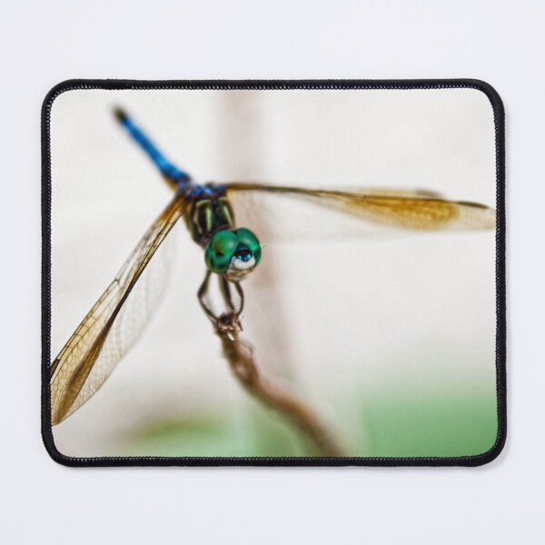 Item preview, Dragonfly closeup designed and sold by HMBPHOTO.