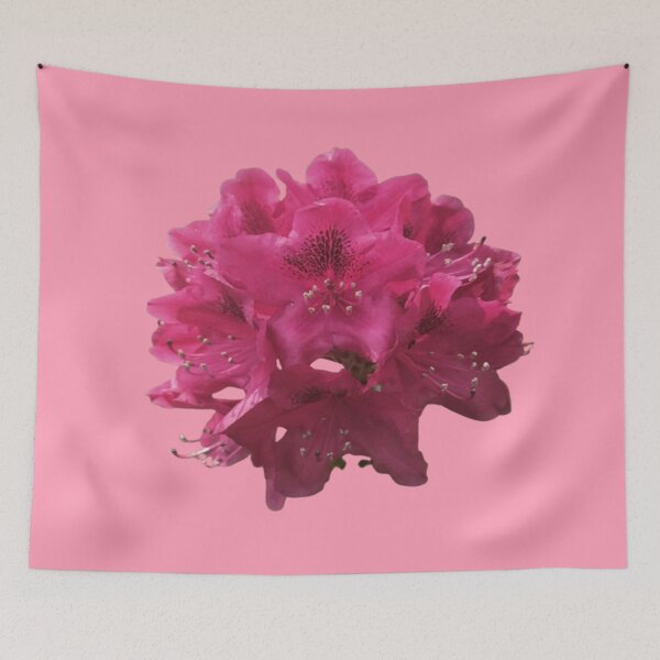 Item preview, A Cutout Of A Bright Rhododendron Flower designed and sold by CDPrintsDesigns.