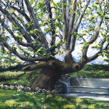 Artwork thumbnail, Adamson Home Tree by Randy Sprout Fine Art