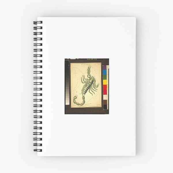 Item preview, Scorpio Zodiac Design | Tarot Art designed and sold by GammaRay.