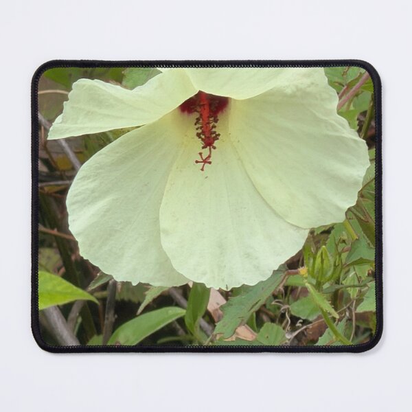 Item preview, Comfort Root Flower in Bloom designed and sold by Pearls1.