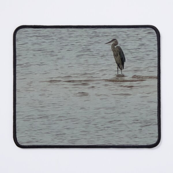 Item preview, Majestic Great Blue Heron in the Water designed and sold by Pearls1.