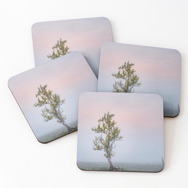 Item preview, Lone Solitary Tree | EDINSTEPPE Collection designed and sold by E D I N S T E P P E.