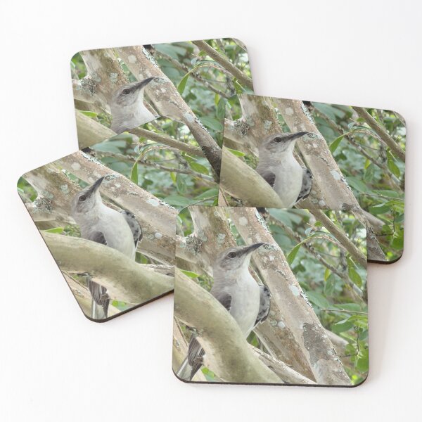 Item preview, Northern Mockingbird Perched in Natural Habitat. designed and sold by Pearls1.