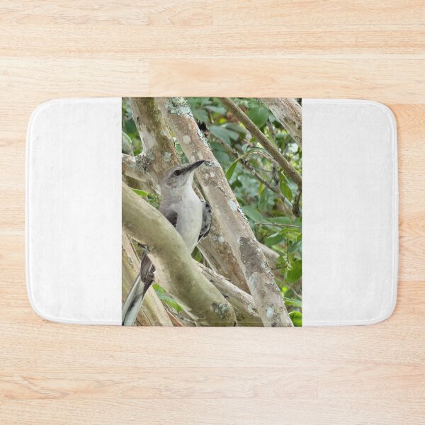 Item preview, Northern Mockingbird Perched in Natural Habitat. designed and sold by Pearls1.