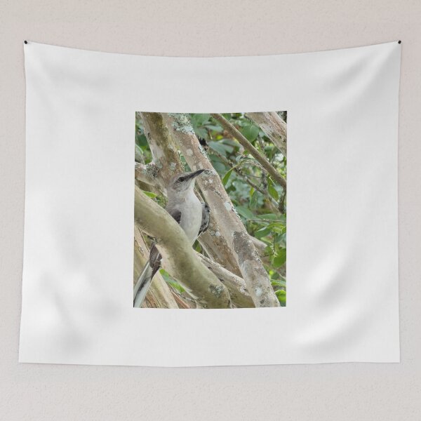 Item preview, Northern Mockingbird Perched in Natural Habitat. designed and sold by Pearls1.