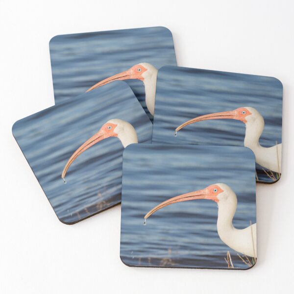 Item preview, Ibis con gota de agua designed and sold by HMBPHOTO.