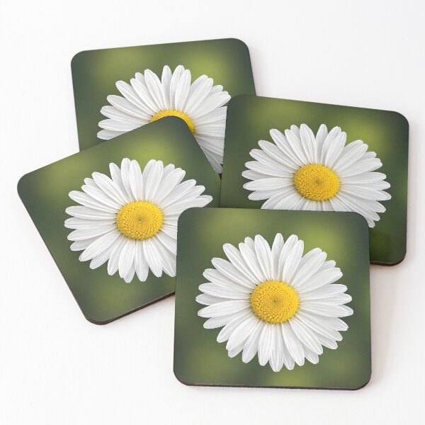 Item preview, Close Up White Daisy Flower Photo designed and sold by ViolafleurViolett.