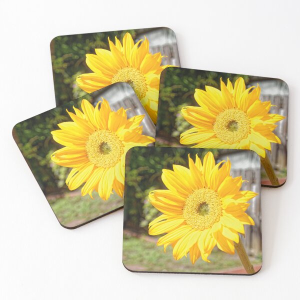 Item preview, Sunflower designed and sold by HMBPHOTO.