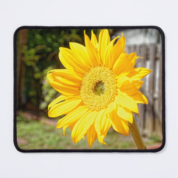 Item preview, Sunflower designed and sold by HMBPHOTO.