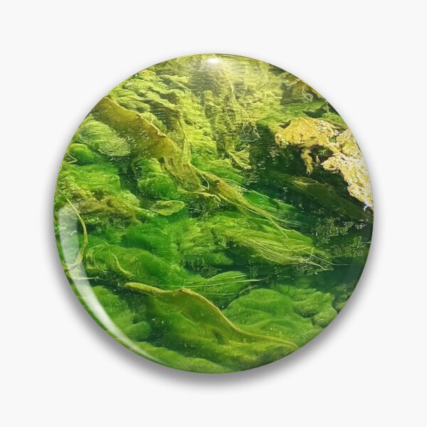 Item preview, Water bottom designed and sold by DjeriK.