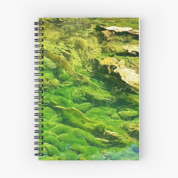 Item preview, Water bottom designed and sold by DjeriK.