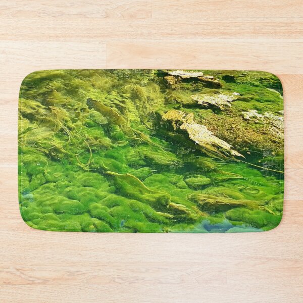Item preview, Water bottom designed and sold by DjeriK.