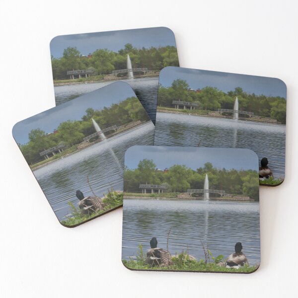 Item preview, Duck Duck Fountain designed and sold by timdaytimages.