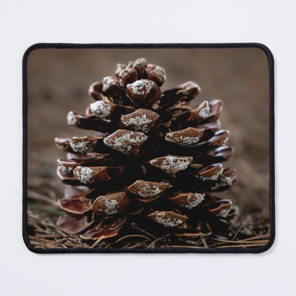Item preview, Moody Pinecone Nature Photography designed and sold by Mutezone.