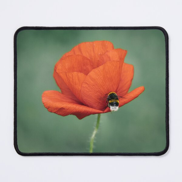 Item preview, Minimal Poppy Flower Nature Photography designed and sold by Mutezone.
